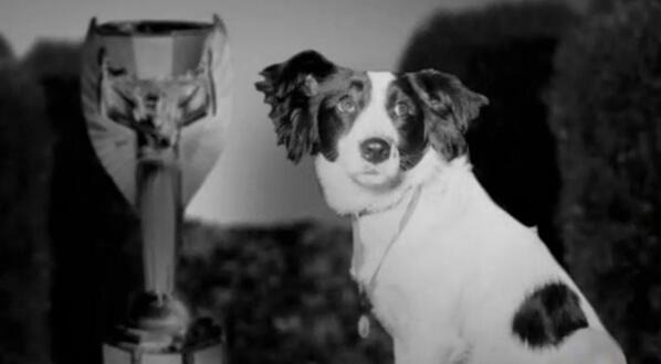 1966年世界盃的獎盃曾失竊並被邊際牧羊犬Pickles找回來(photo:Medium)/金享娛樂城